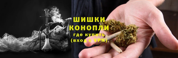 ешки Алзамай