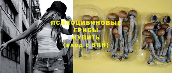 ешки Алзамай