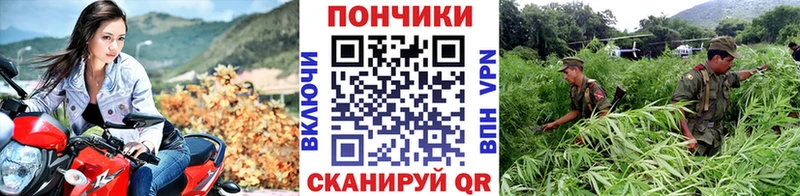 omg ссылки  Дмитровск  Канабис VHQ 